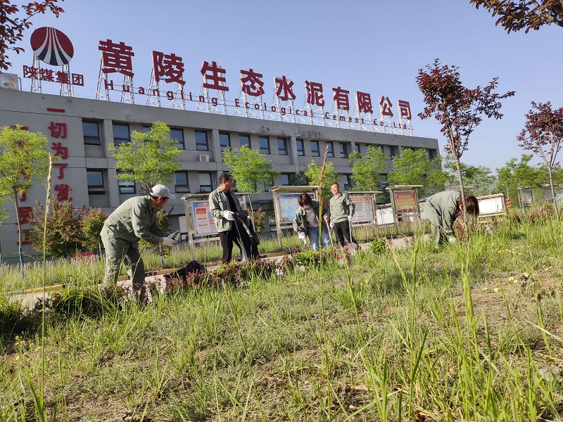 激情五月堅定初心 義務勞動彰顯風采